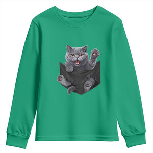 Cute British Shorthair Cat In Pocket Youth Sweatshirt Cat Lover TS12 Irish Green Print Your Wear