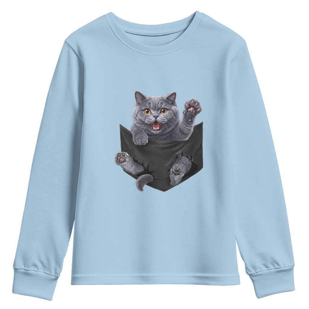 Cute British Shorthair Cat In Pocket Youth Sweatshirt Cat Lover TS12 Light Blue Print Your Wear