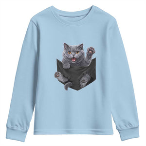 Cute British Shorthair Cat In Pocket Youth Sweatshirt Cat Lover TS12 Light Blue Print Your Wear