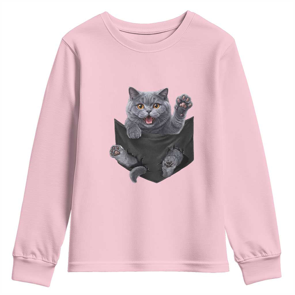 Cute British Shorthair Cat In Pocket Youth Sweatshirt Cat Lover TS12 Light Pink Print Your Wear