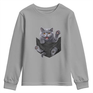 Cute British Shorthair Cat In Pocket Youth Sweatshirt Cat Lover TS12 Sport Gray Print Your Wear