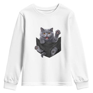 Cute British Shorthair Cat In Pocket Youth Sweatshirt Cat Lover TS12 White Print Your Wear