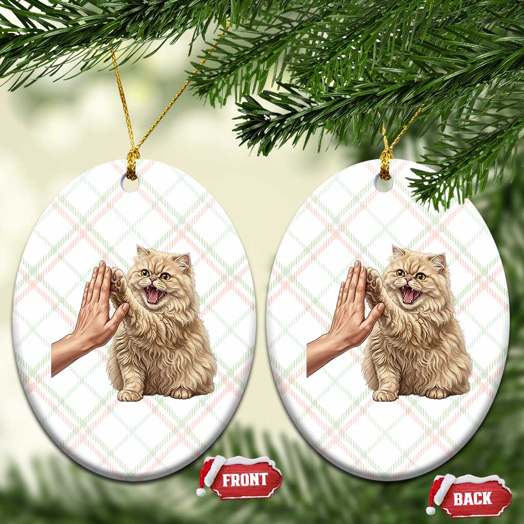 Cute Persian Cat High Five Ceramic Ornament Cat Lover TS12 Print Your Wear