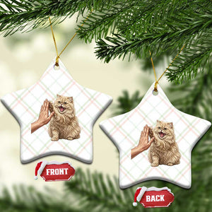 Cute Persian Cat High Five Ceramic Ornament Cat Lover TS12 Print Your Wear