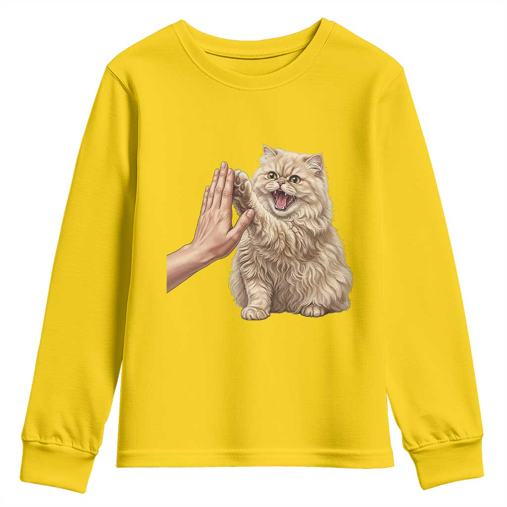 Cute Persian Cat High Five Youth Sweatshirt Cat Lover TS12 Daisy Print Your Wear