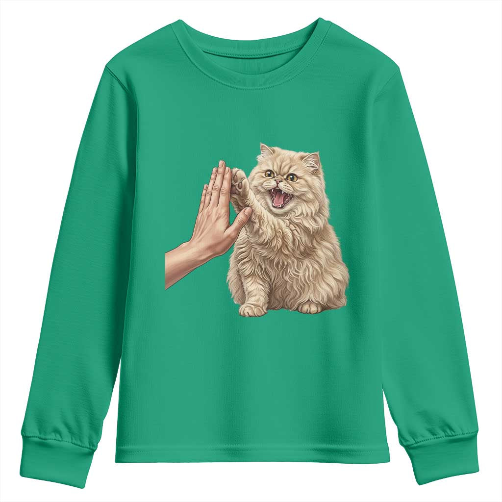 Cute Persian Cat High Five Youth Sweatshirt Cat Lover TS12 Irish Green Print Your Wear