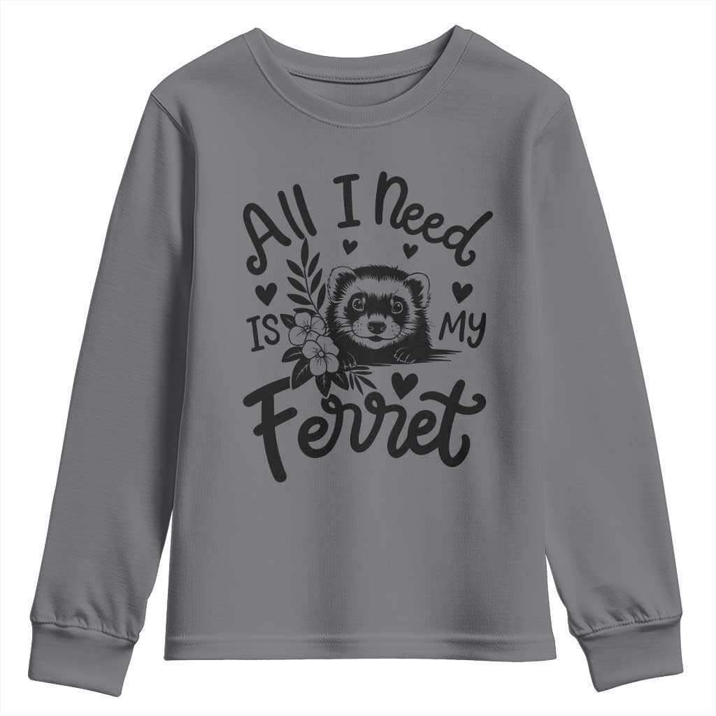 All I Need Is My Ferret Youth Sweatshirt Cute Exotic Pet Owner Gift TS12 Charcoal Print Your Wear