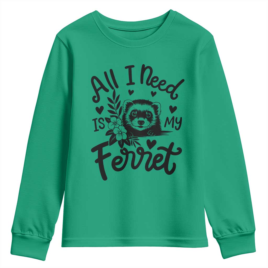 All I Need Is My Ferret Youth Sweatshirt Cute Exotic Pet Owner Gift TS12 Irish Green Print Your Wear