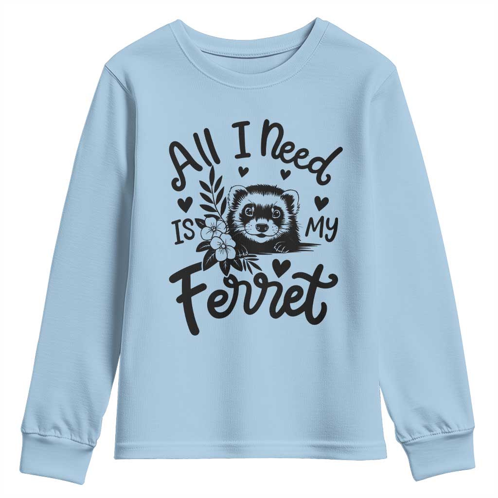 All I Need Is My Ferret Youth Sweatshirt Cute Exotic Pet Owner Gift TS12 Light Blue Print Your Wear