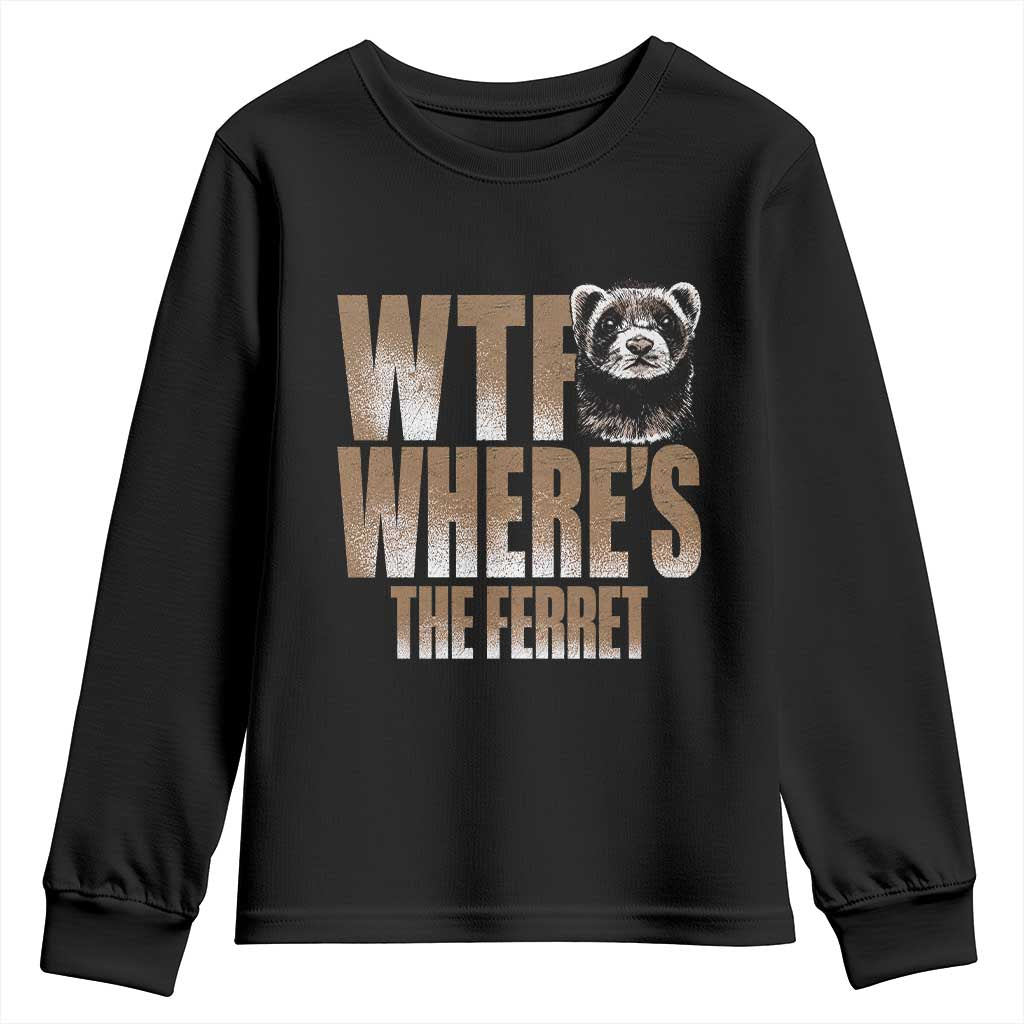 Funny Polecat Ferret Gift Youth Sweatshirt WTF Where Is The Ferret