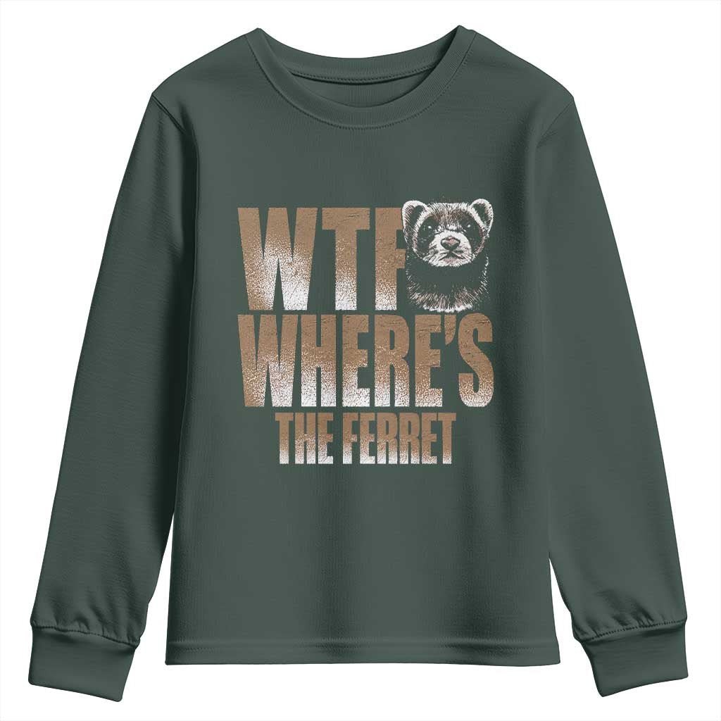 Funny Polecat Ferret Gift Youth Sweatshirt WTF Where Is The Ferret