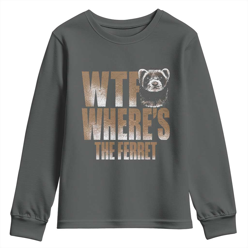 Funny Polecat Ferret Gift Youth Sweatshirt WTF Where Is The Ferret