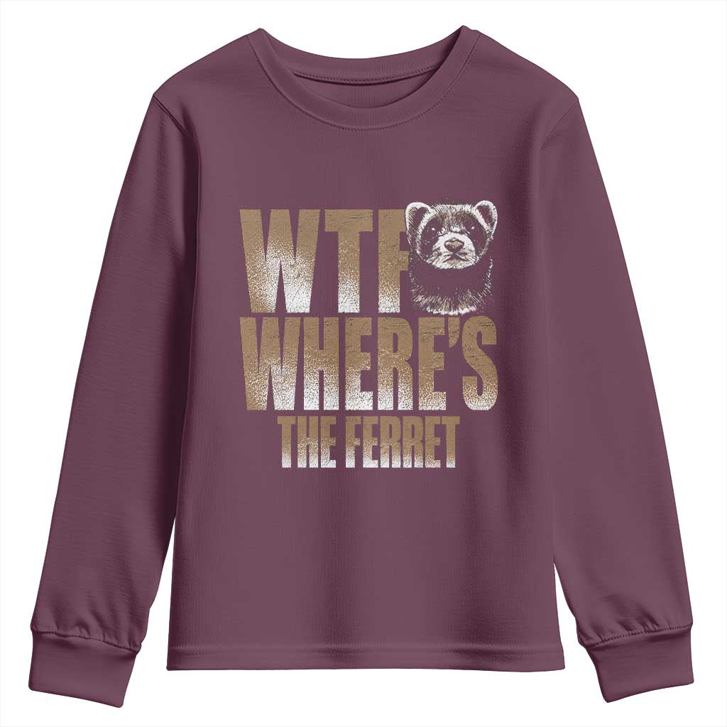 Funny Polecat Ferret Gift Youth Sweatshirt WTF Where Is The Ferret