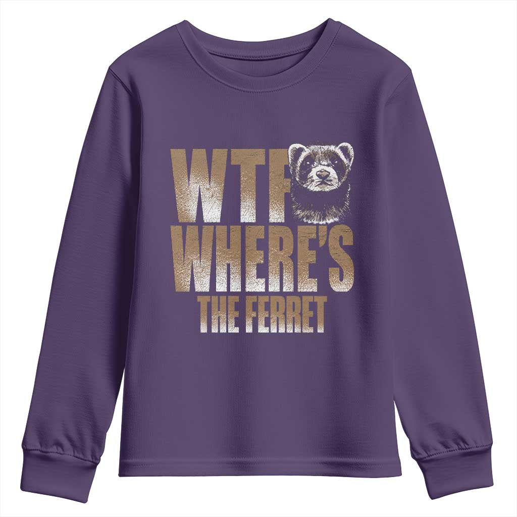 Funny Polecat Ferret Gift Youth Sweatshirt WTF Where Is The Ferret