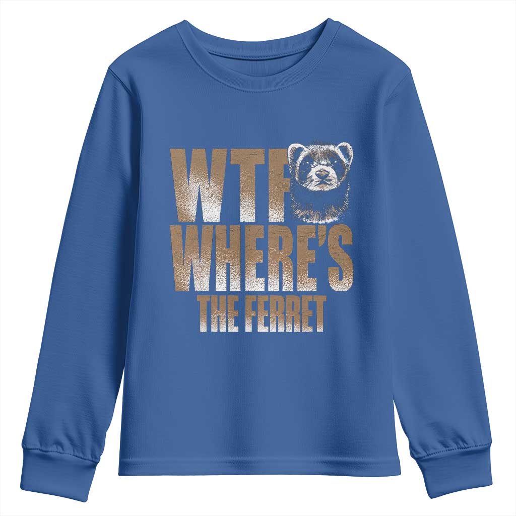 Funny Polecat Ferret Gift Youth Sweatshirt WTF Where Is The Ferret