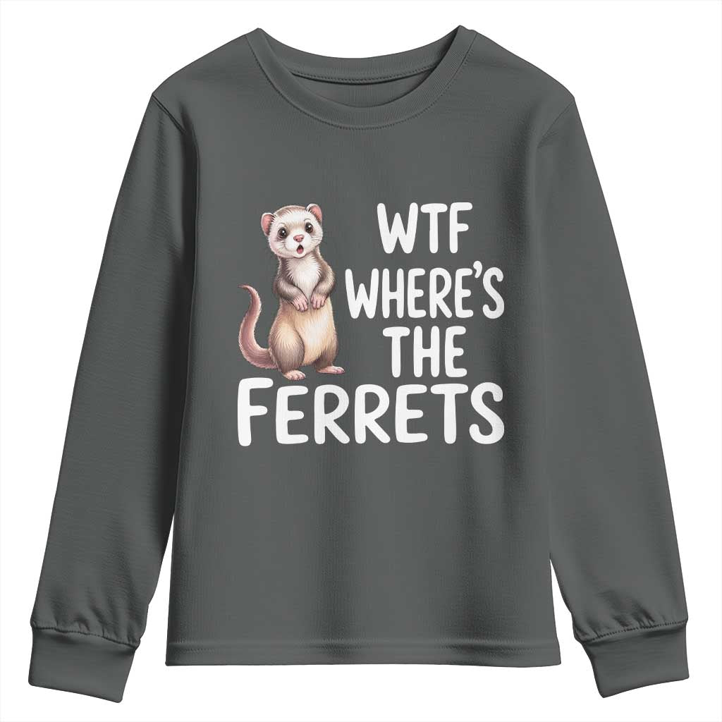 Funny Ferret Lover Gift Youth Sweatshirt Where Is The Ferret TS12 Dark Heather Print Your Wear