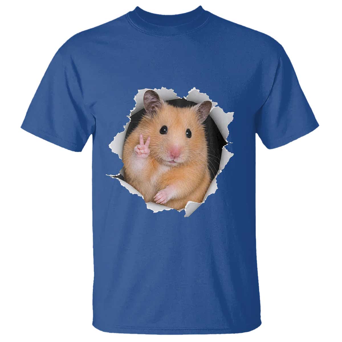 Funny Curious Hamster Peeking Through A Cracked Wall Meme T Shirt TS12 Royal Blue Print Your Wear