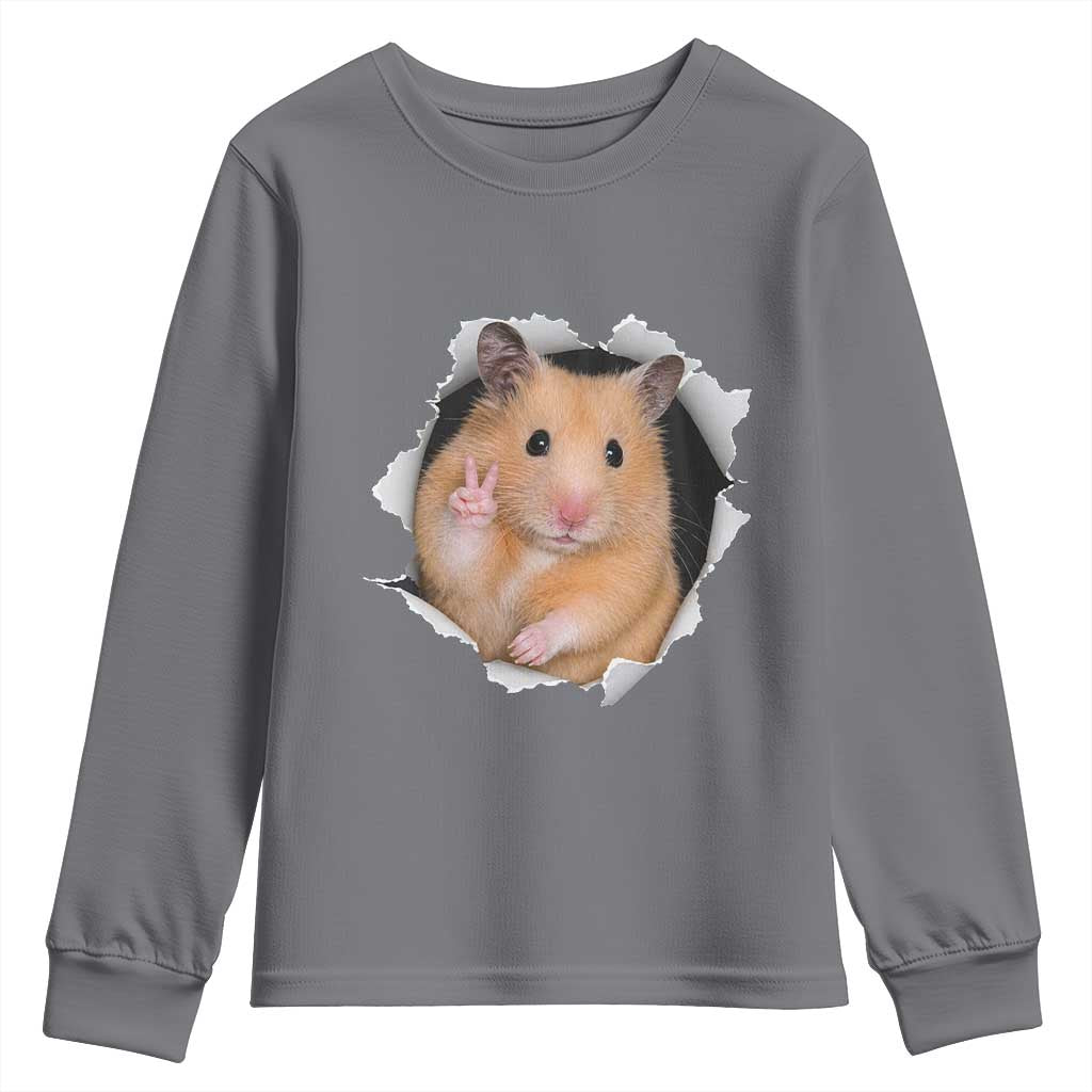 Funny Curious Hamster Peeking Through A Cracked Wall Meme Youth Sweatshirt TS12 Charcoal Print Your Wear
