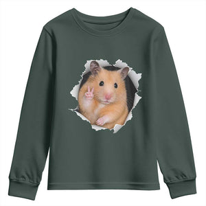 Funny Curious Hamster Peeking Through A Cracked Wall Meme Youth Sweatshirt TS12 Dark Forest Green Print Your Wear