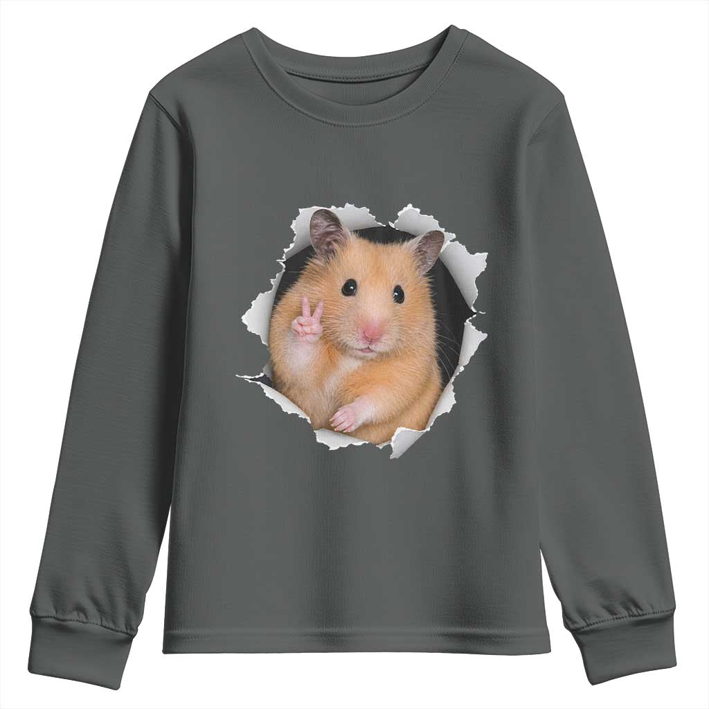 Funny Curious Hamster Peeking Through A Cracked Wall Meme Youth Sweatshirt TS12 Dark Heather Print Your Wear