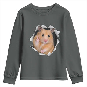 Funny Curious Hamster Peeking Through A Cracked Wall Meme Youth Sweatshirt TS12 Dark Heather Print Your Wear