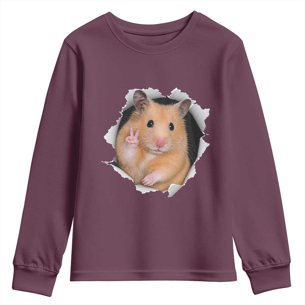 Funny Curious Hamster Peeking Through A Cracked Wall Meme Youth Sweatshirt TS12 Maroon Print Your Wear