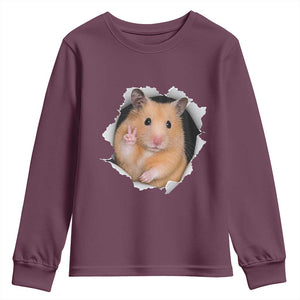 Funny Curious Hamster Peeking Through A Cracked Wall Meme Youth Sweatshirt TS12 Maroon Print Your Wear