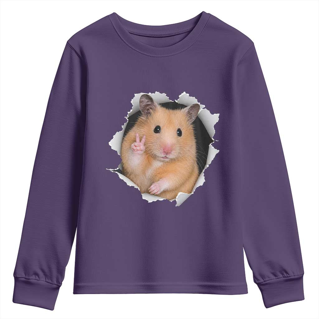 Funny Curious Hamster Peeking Through A Cracked Wall Meme Youth Sweatshirt TS12 Purple Print Your Wear