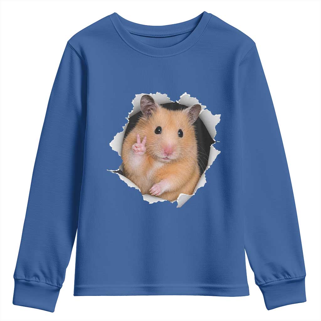 Funny Curious Hamster Peeking Through A Cracked Wall Meme Youth Sweatshirt TS12 Royal Blue Print Your Wear