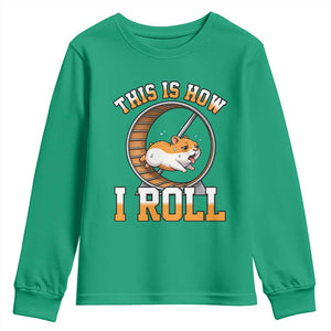 Cute Hamster Running Wheel Youth Sweatshirt This Is How I Roll TS12 Irish Green Print Your Wear
