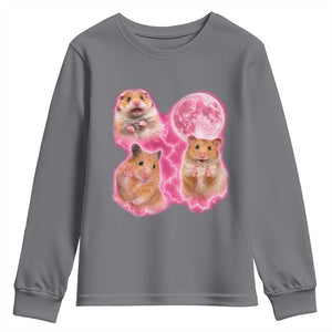 Three Hamsters Retro Graphic Youth Sweatshirt Small Pet Lover Gift Idea TS12 Charcoal Print Your Wear