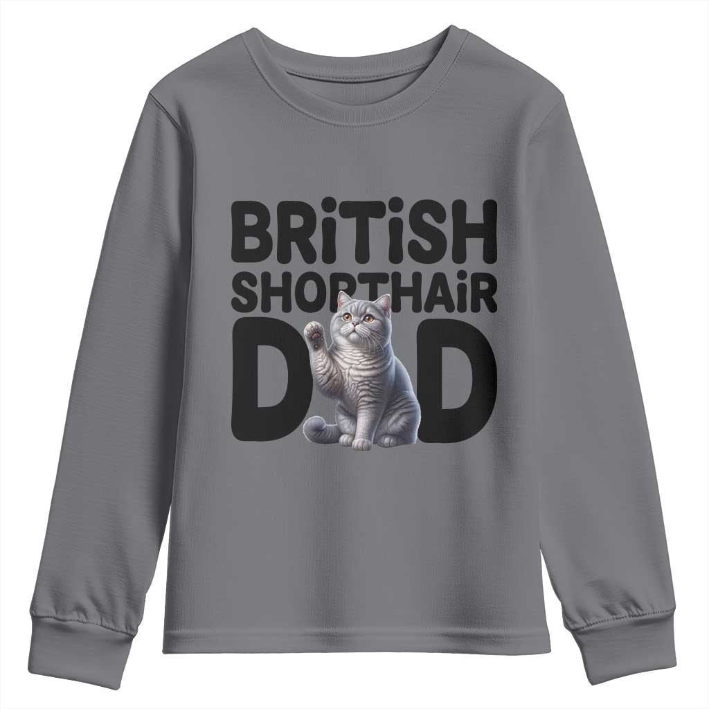 Proud British Shorthair Dad Youth Sweatshirt Cute Cat Fathers Day Gift TS12 Charcoal Print Your Wear