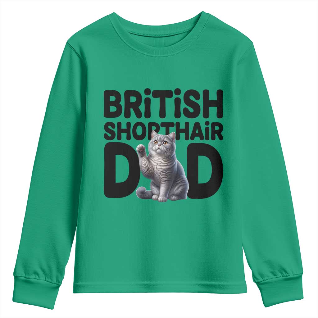 Proud British Shorthair Dad Youth Sweatshirt Cute Cat Fathers Day Gift TS12 Irish Green Print Your Wear