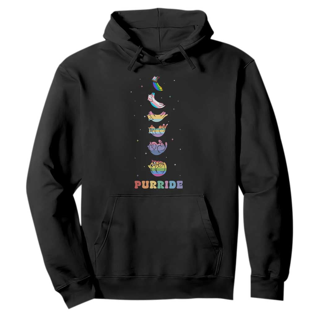 Purride Rainbow Cat Moon Cycles Hoodie LGBQT Pride Feline Space