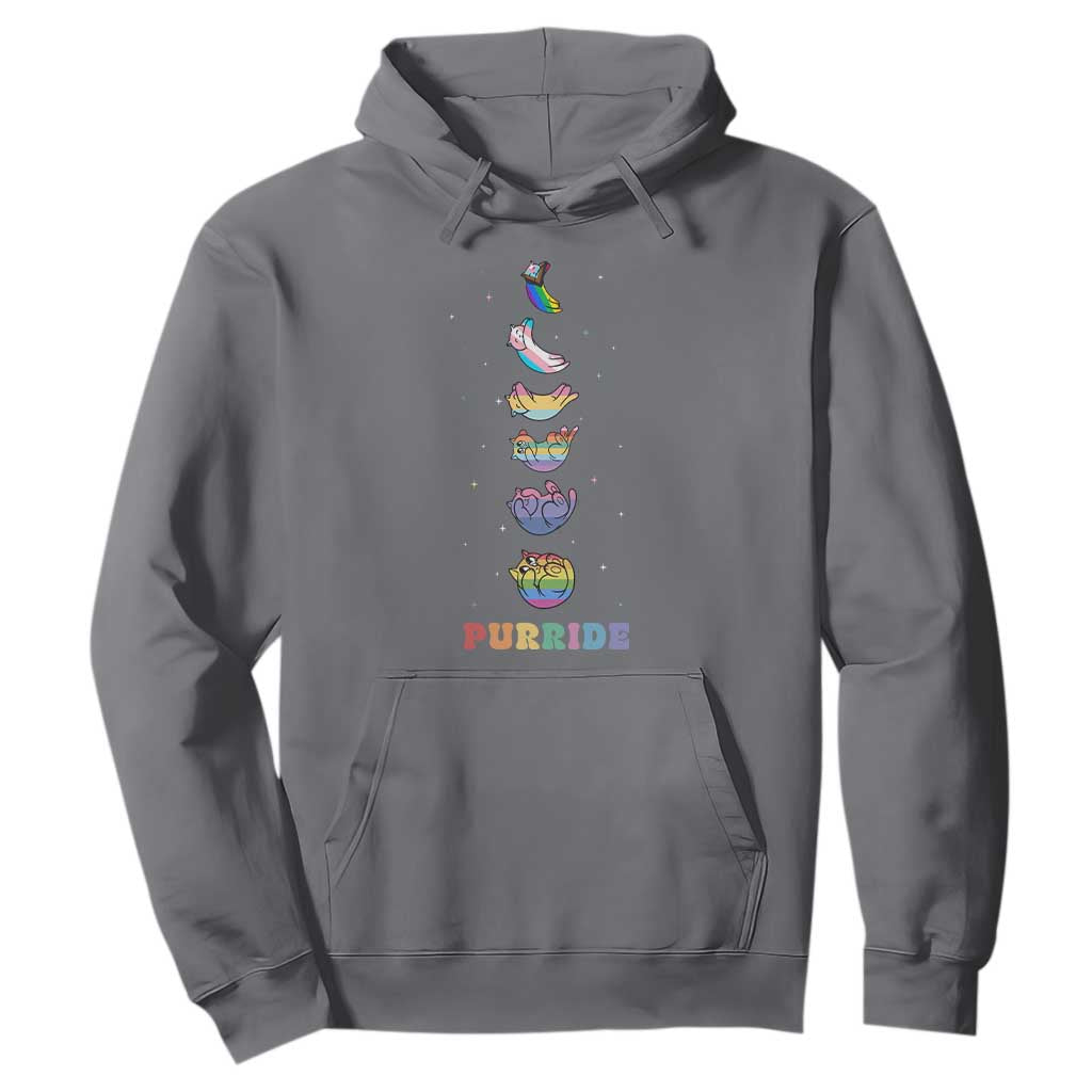 Purride Rainbow Cat Moon Cycles Hoodie LGBQT Pride Feline Space
