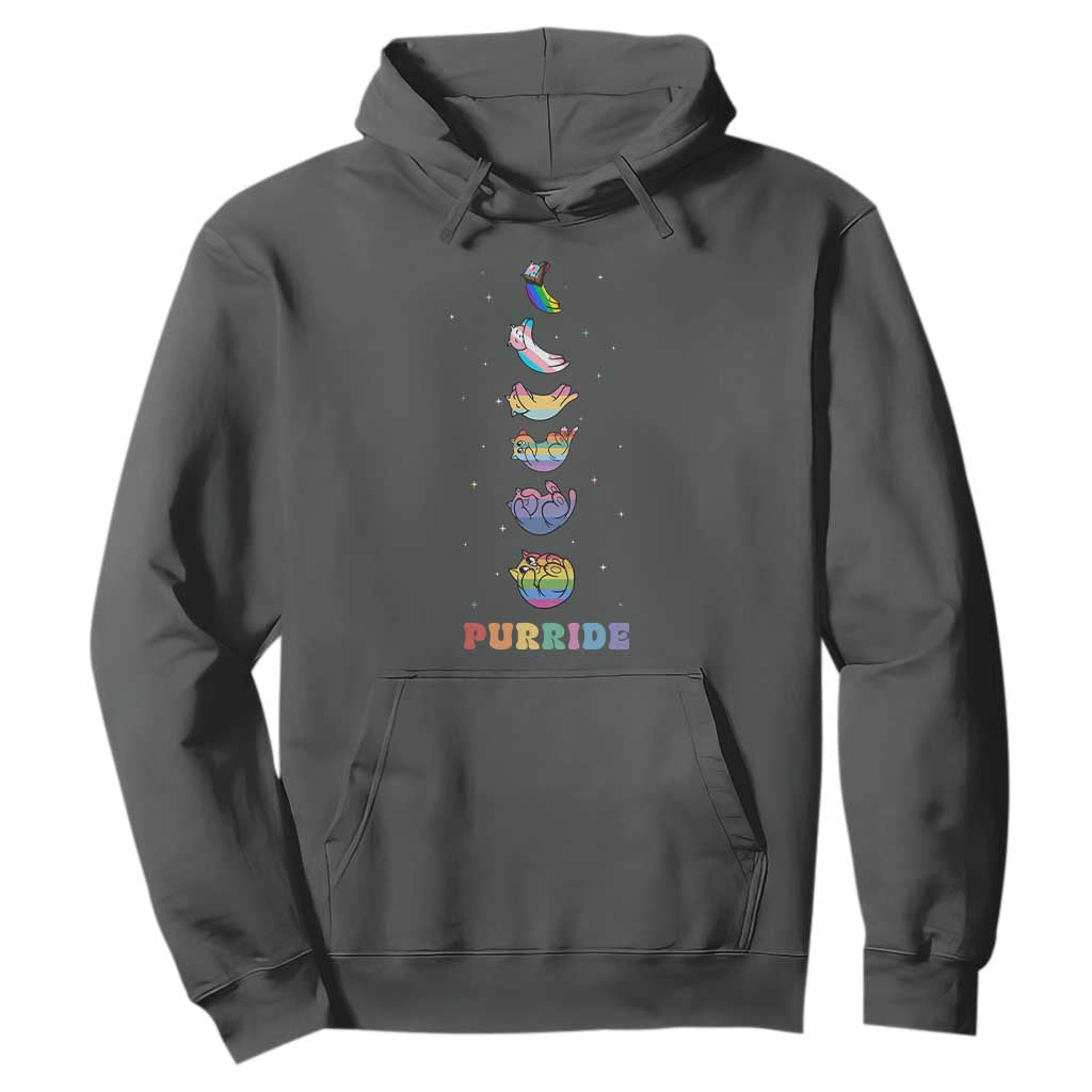 Purride Rainbow Cat Moon Cycles Hoodie LGBQT Pride Feline Space