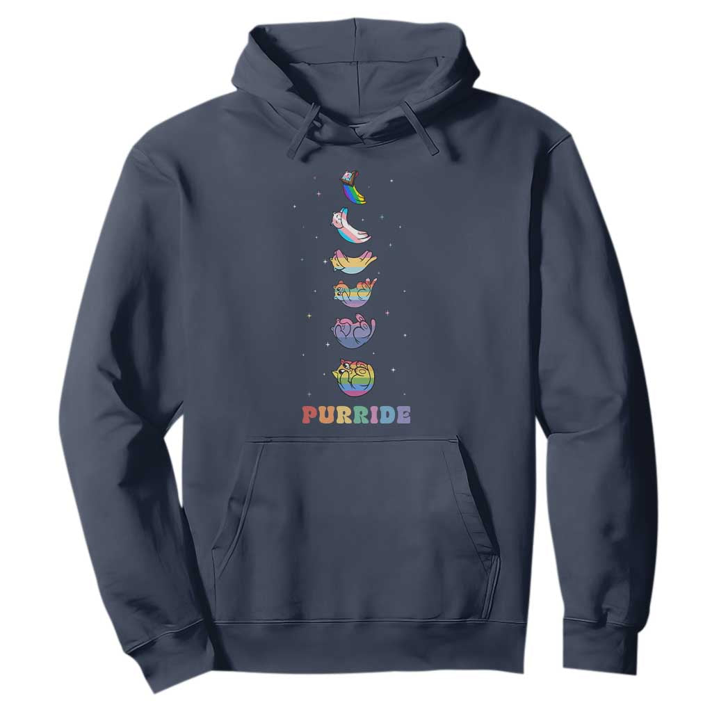 Purride Rainbow Cat Moon Cycles Hoodie LGBQT Pride Feline Space