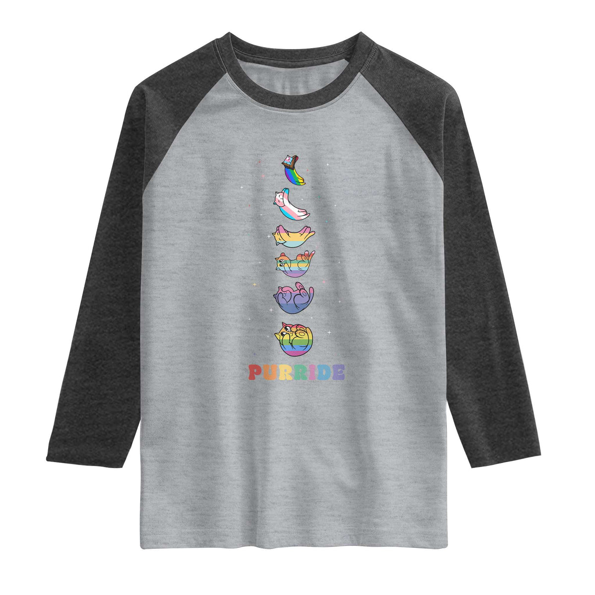 Purride Rainbow Cat Moon Cycles Raglan Shirt LGBQT Pride Feline Space