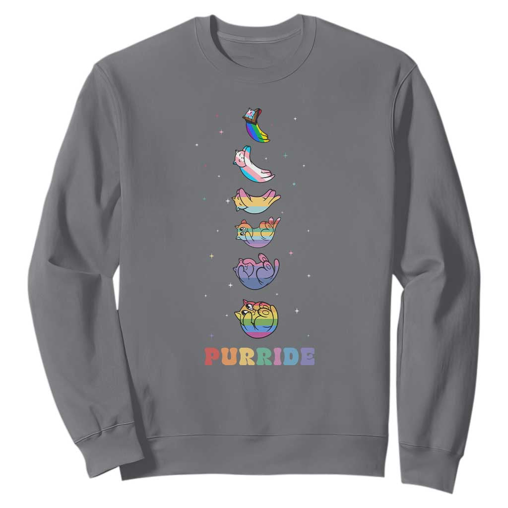Purride Rainbow Cat Moon Cycles Sweatshirt LGBQT Pride Feline Space