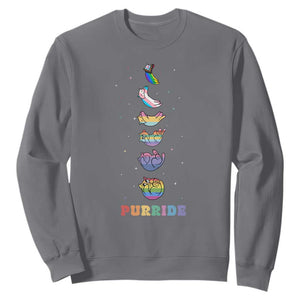 Purride Rainbow Cat Moon Cycles Sweatshirt LGBQT Pride Feline Space