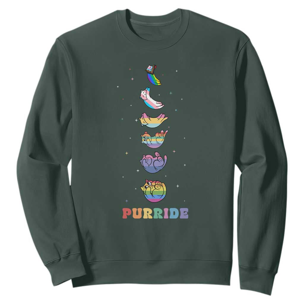 Purride Rainbow Cat Moon Cycles Sweatshirt LGBQT Pride Feline Space