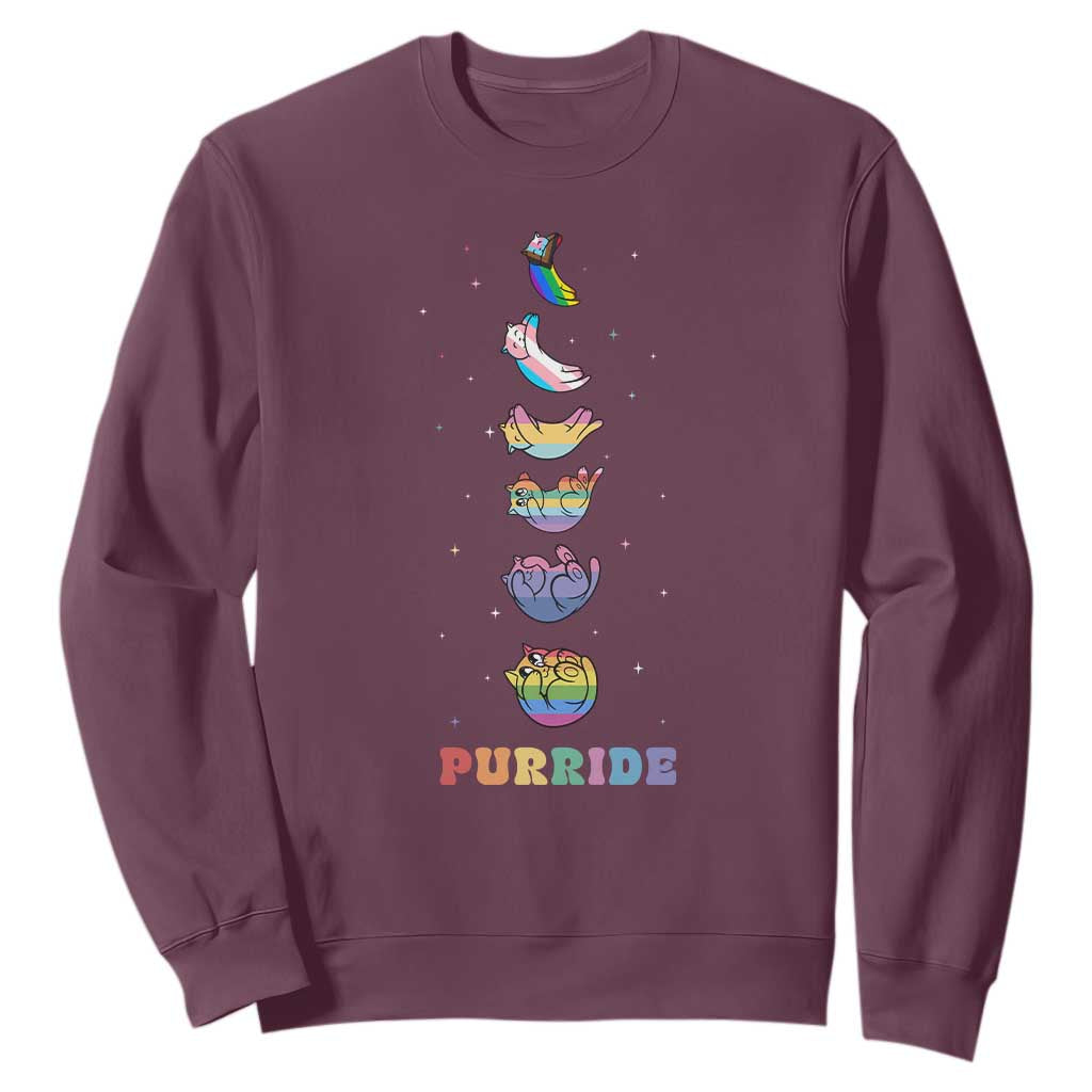 Purride Rainbow Cat Moon Cycles Sweatshirt LGBQT Pride Feline Space