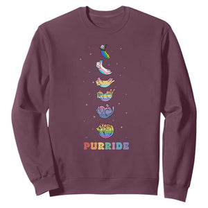 Purride Rainbow Cat Moon Cycles Sweatshirt LGBQT Pride Feline Space