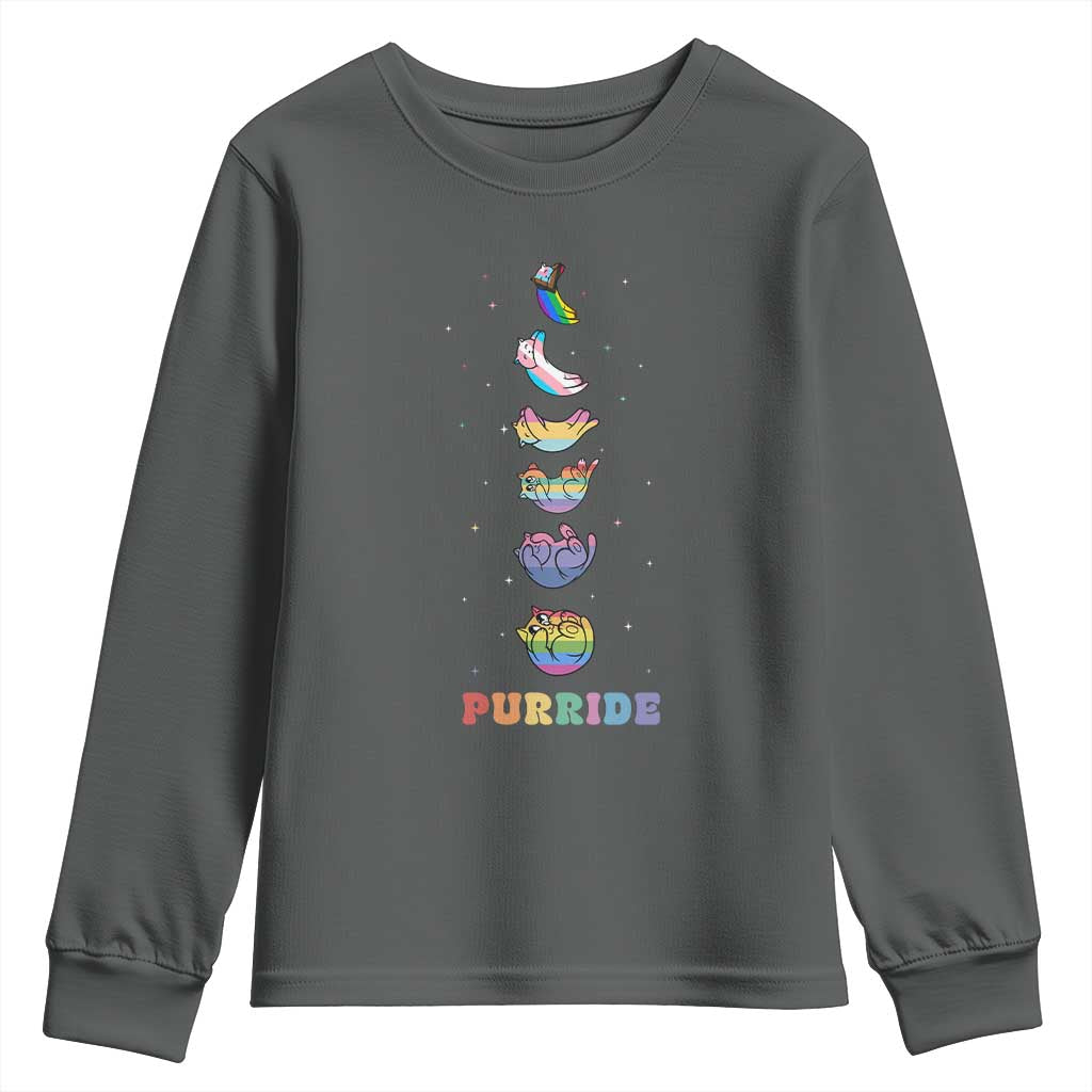 Purride Rainbow Cat Moon Cycles Youth Sweatshirt LGBQT Pride Feline Space TS12 Dark Heather Print Your Wear