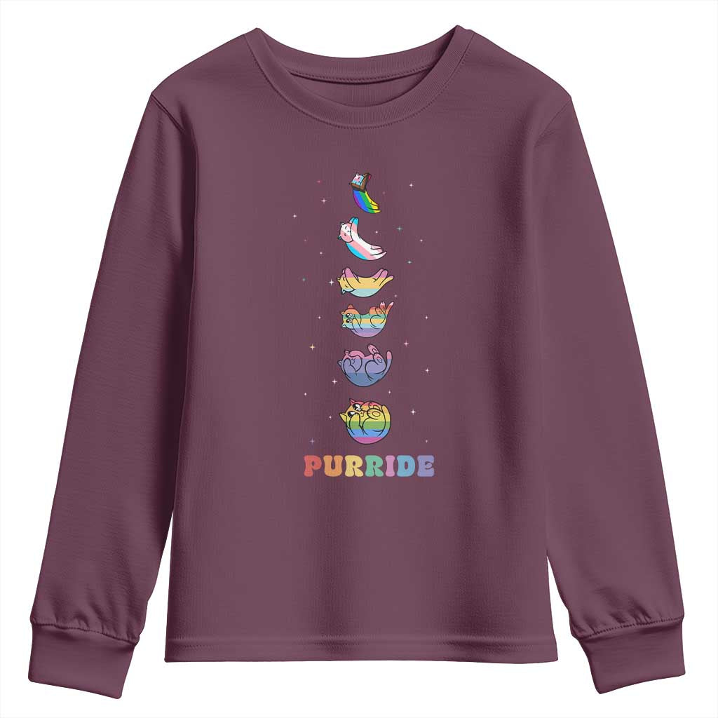 Purride Rainbow Cat Moon Cycles Youth Sweatshirt LGBQT Pride Feline Space TS12 Maroon Print Your Wear