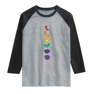 Funny Purride Cats In Space Rainbow Raglan Shirt LGBQT Pride Feline Space TS12 Heather Gray Black Print Your Wear