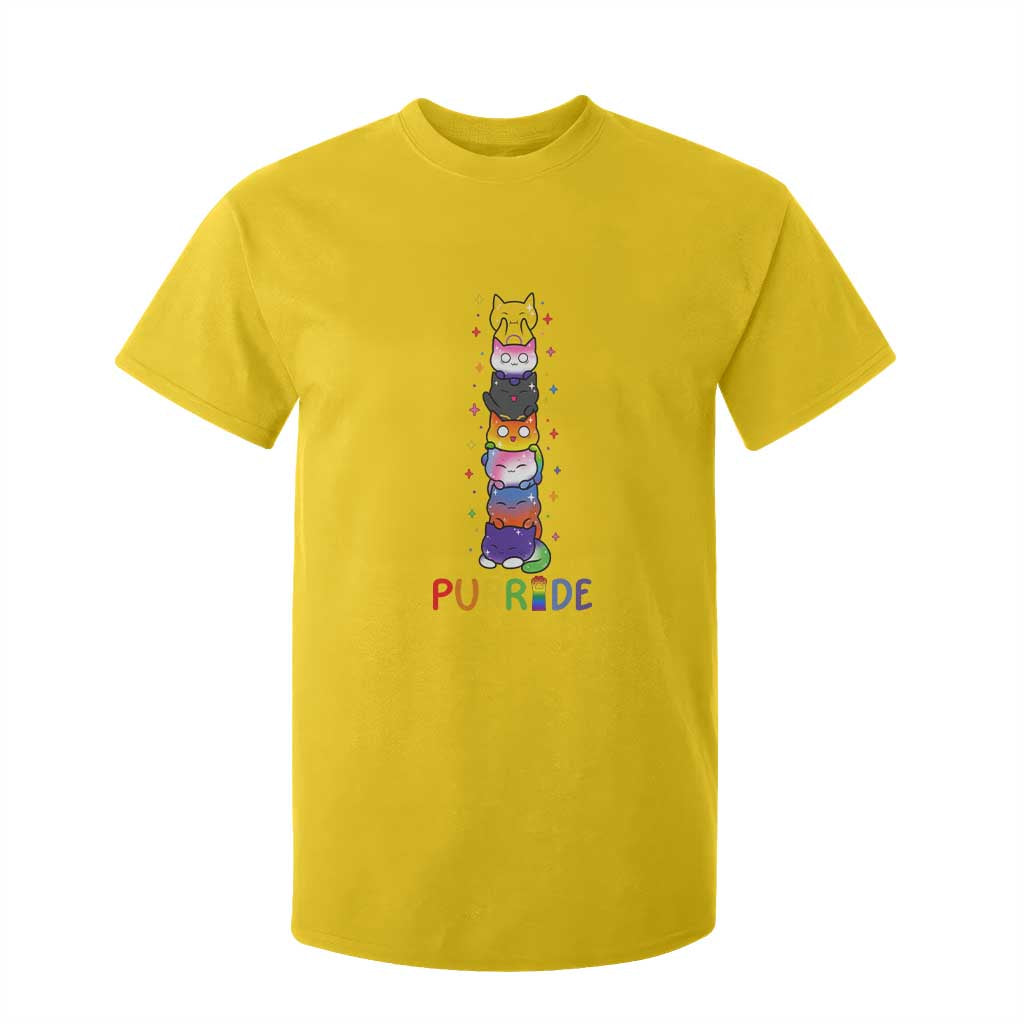 Funny Purride Stacked Cats Pride T Shirt For Kid Cute LGBTQ Cat Lover
