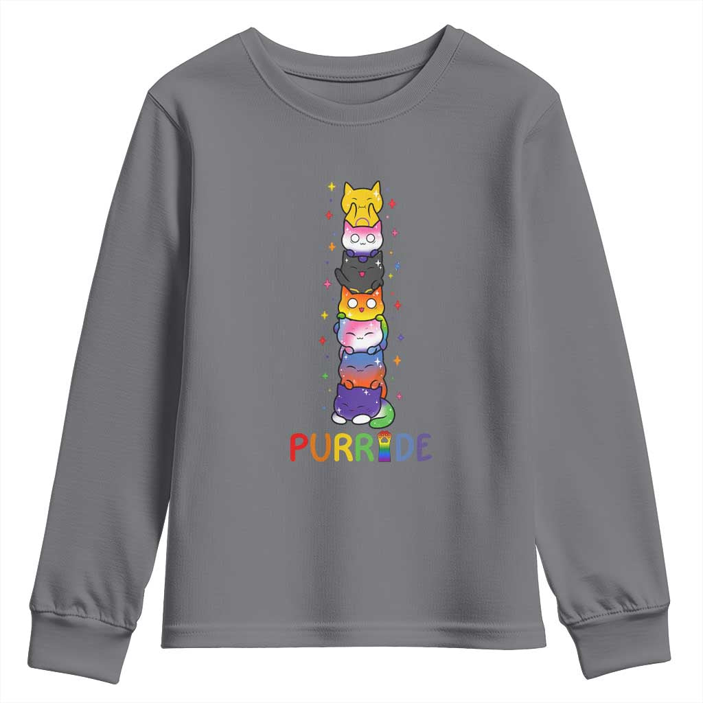 Funny Purride Stacked Cats Pride Youth Sweatshirt Cute LGBTQ Cat Lover TS12 Charcoal Print Your Wear