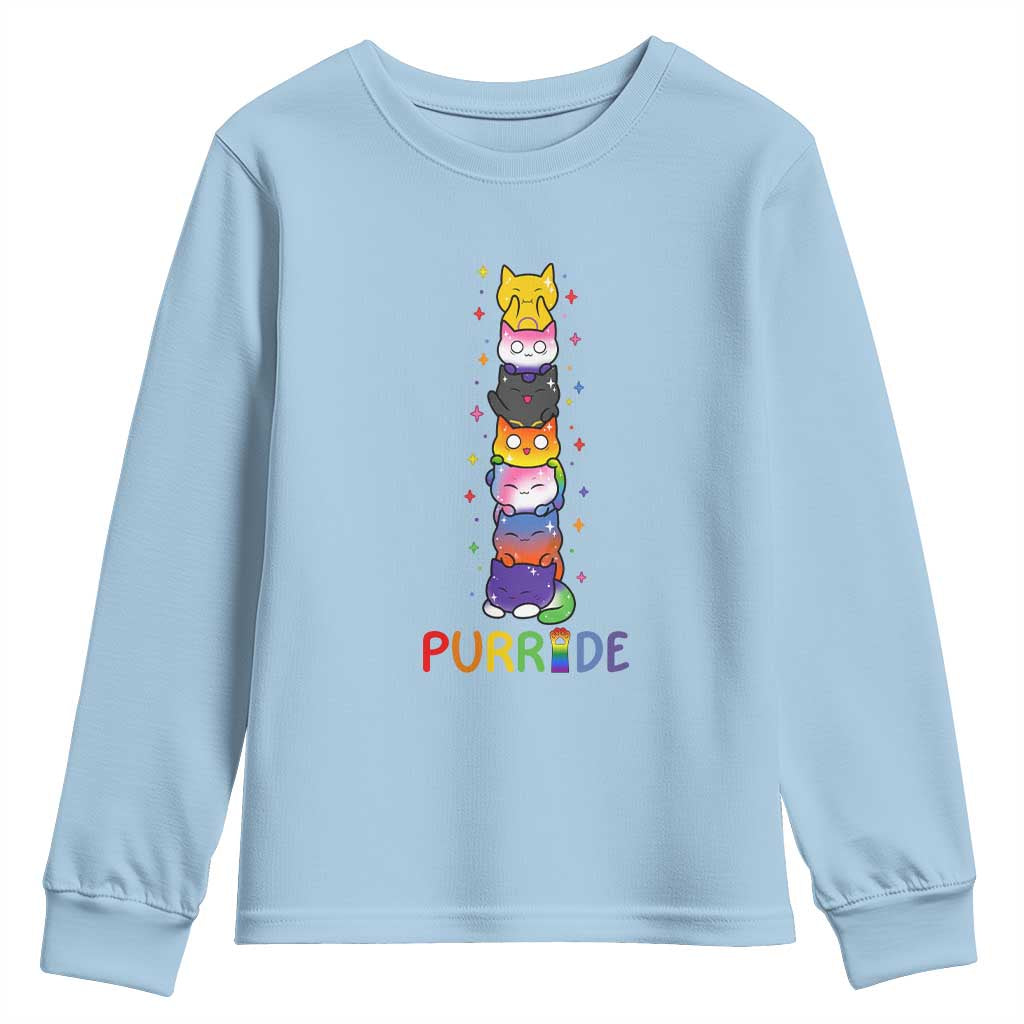 Funny Purride Stacked Cats Pride Youth Sweatshirt Cute LGBTQ Cat Lover TS12 Light Blue Print Your Wear