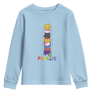 Funny Purride Stacked Cats Pride Youth Sweatshirt Cute LGBTQ Cat Lover TS12 Light Blue Print Your Wear